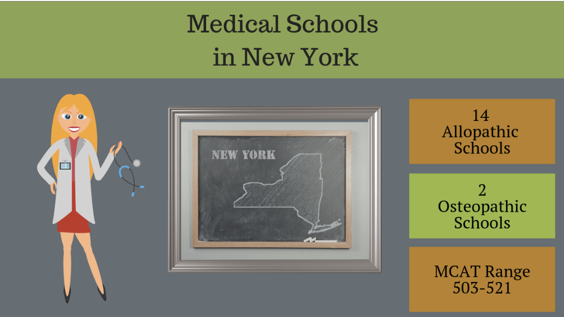 Medical Schools in New York: Rankings & Information (2026)