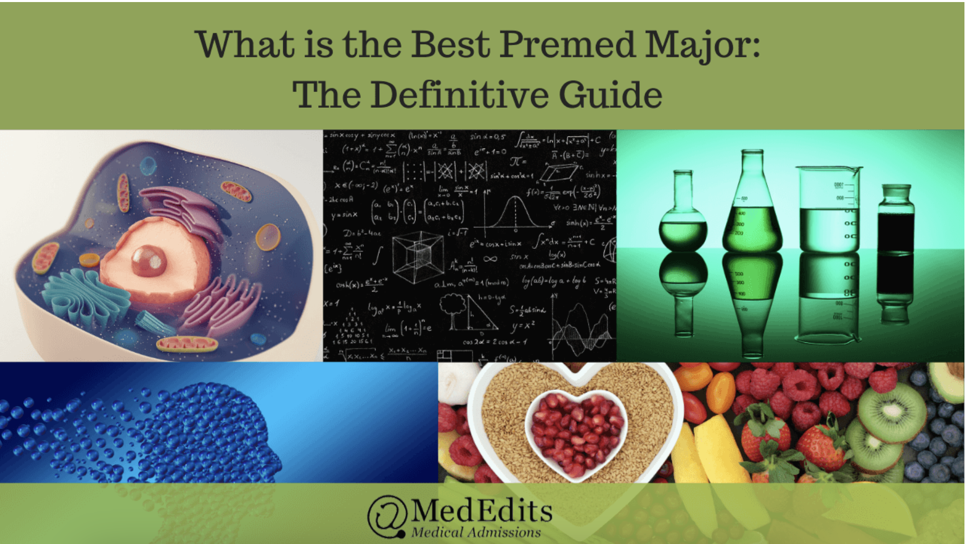 The Best Premed Major for Medical School Admissions (2026 – 2027)