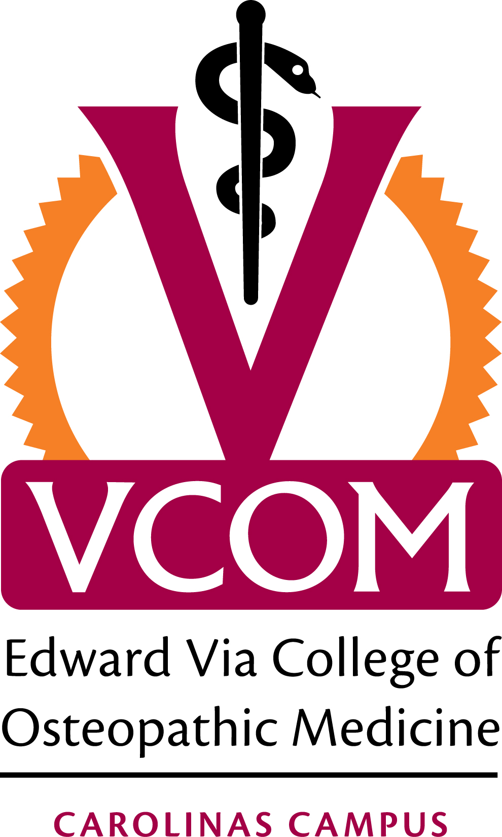 Edward Via College of Osteopathic Medicine–Carolinas Campus Interview Prep