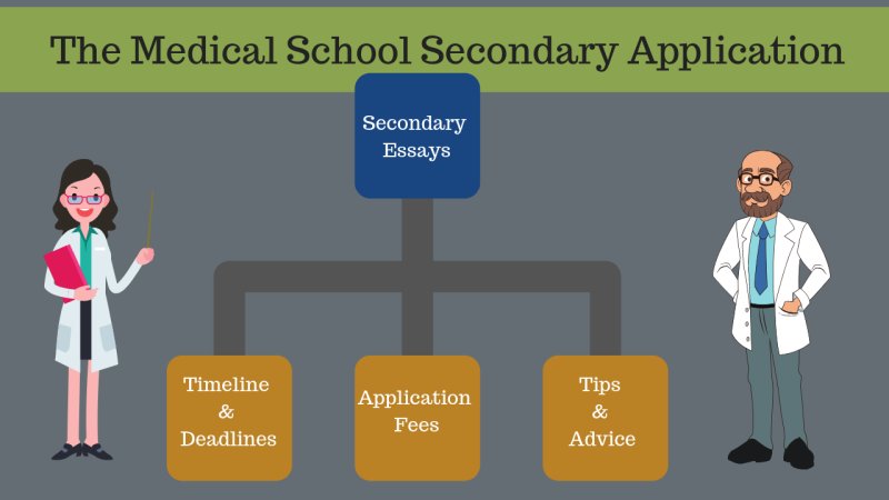 Admission to medical deals school typo on essay