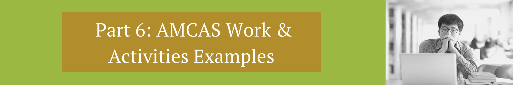 AMCAS Work Activities Examples