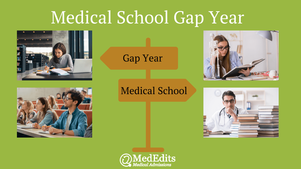 Medical School Gap Year